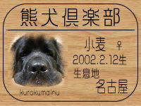 �I�[�i�[�́A�����p�p����ł���